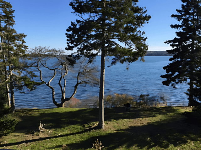 Waterfront Property